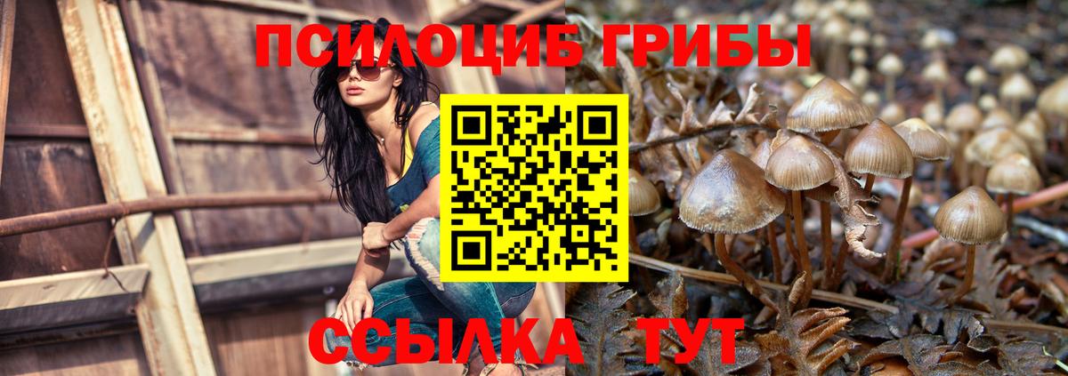 Галлюциногенные грибы мухоморы Новосибирск