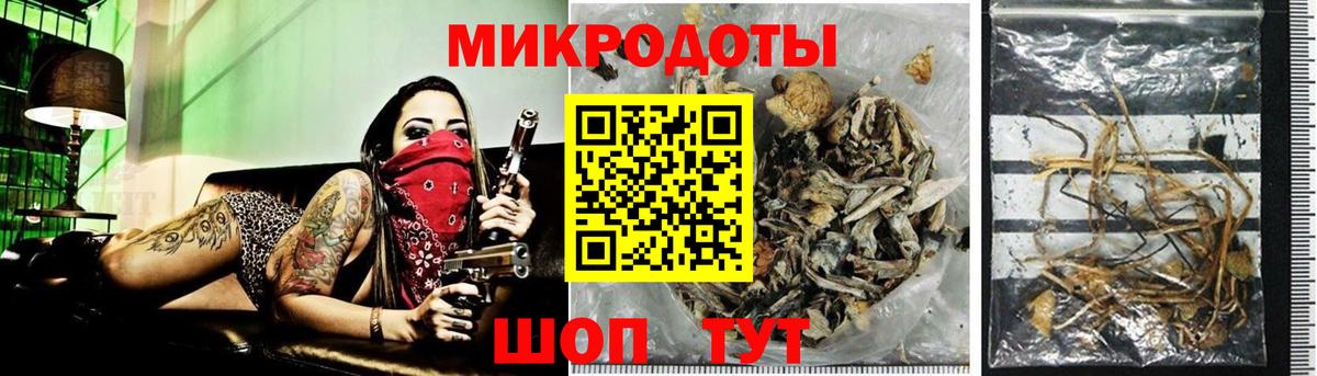 Галлюциногенные грибы прущие грибы  Вход с VPN  Новосибирск 